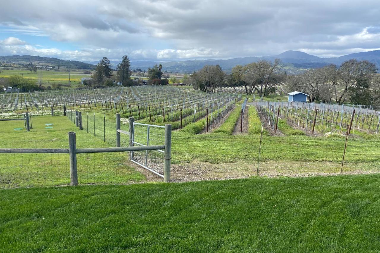 Alexander Valley Retreat Healdsburg Luaran gambar