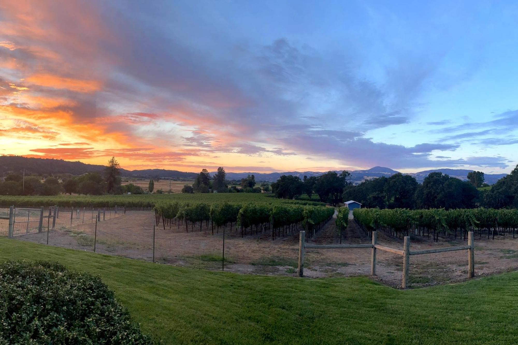 Alexander Valley Retreat Healdsburg Luaran gambar